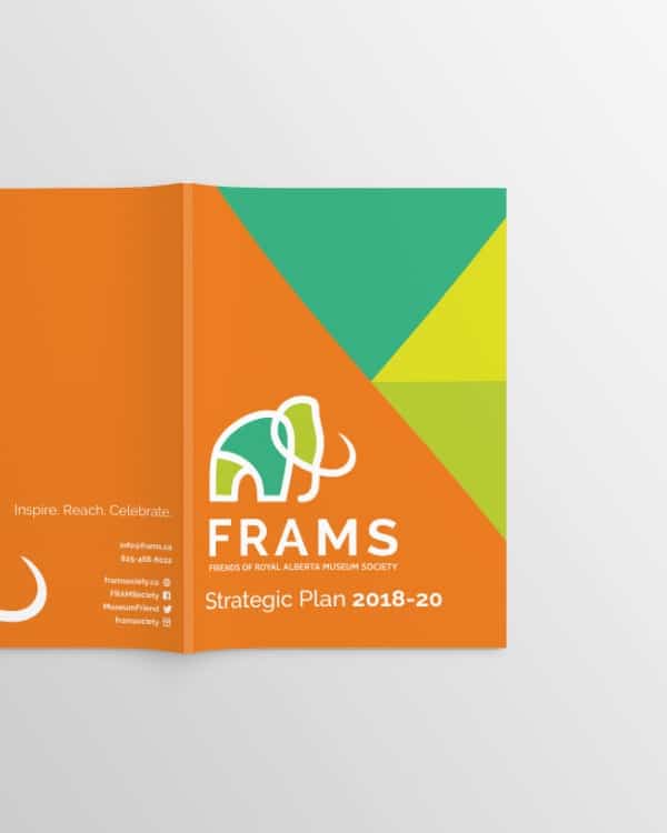 FRAMS - strategic plan